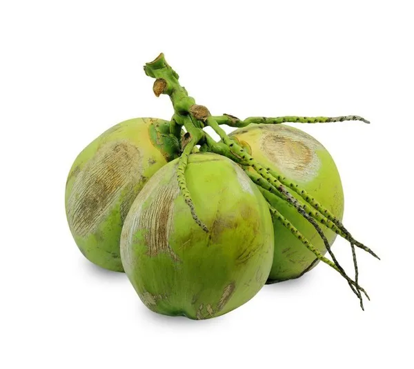 Coco Verde Unidade