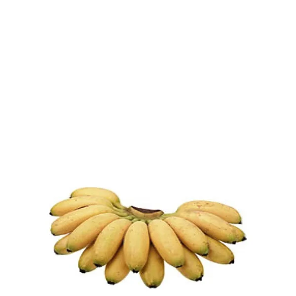 Banana Ouro Kg