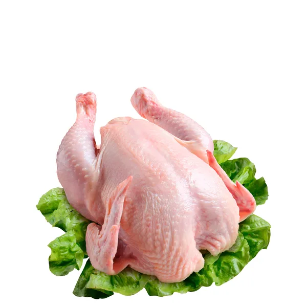 Frango Congelada kg