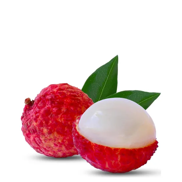 Lichia Kg