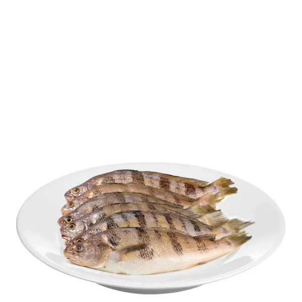 Peixe Traíra Kg Desossada Espalmado