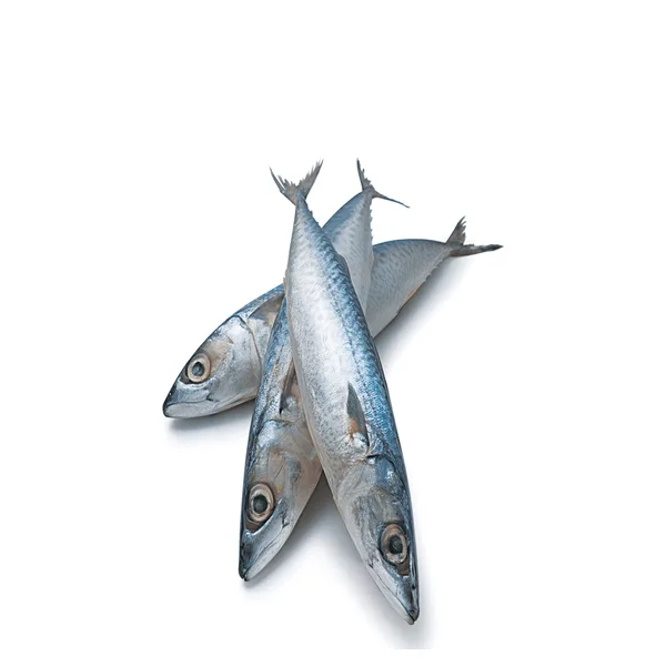 Peixe Traíra Nacional 1Kg Congelada PCT